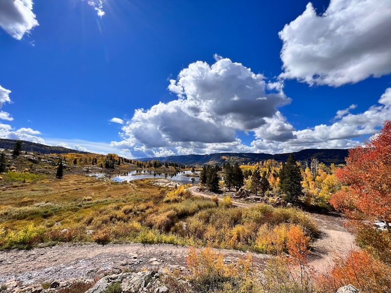 The Road That Earns You The Lake