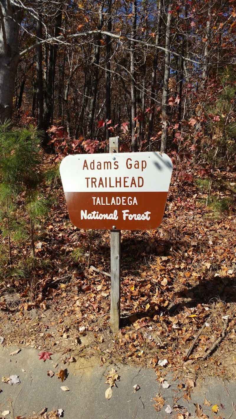 The Road That Keeps You Guessing