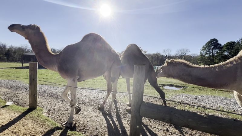 The Landscape Feels Like A Living Painting