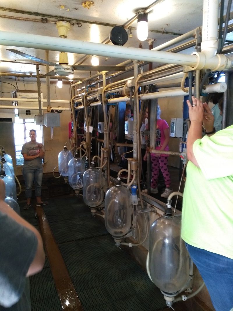 The Robotic Milking Parlor The Robotic Milking Parlor