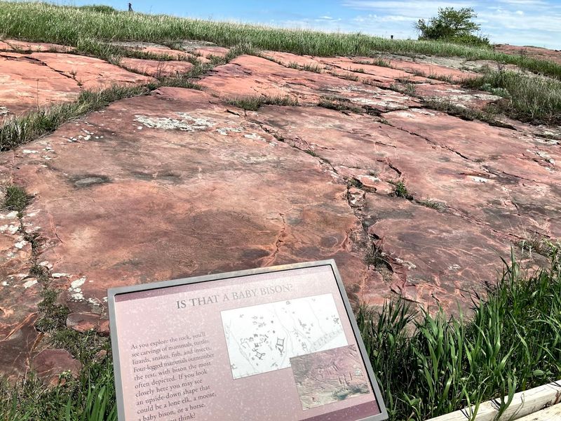The Rock Itself Is Older Than Almost Everything You Know