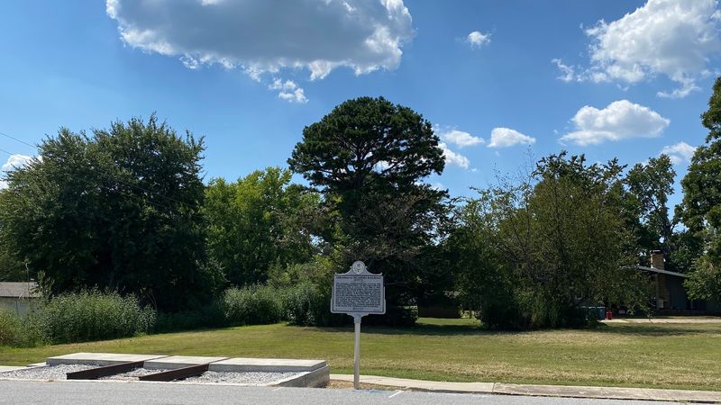 The Impact Of Snow On Local Life And Economy