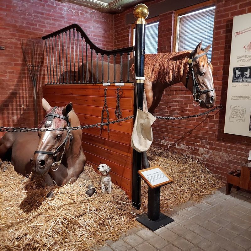 The Role Of Horses In Early Firefighting The Role Of Horses In Early Firefighting