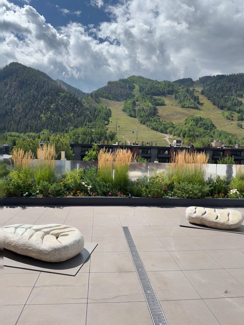 The Rooftop Views Might Steal Your Attention From The Art
