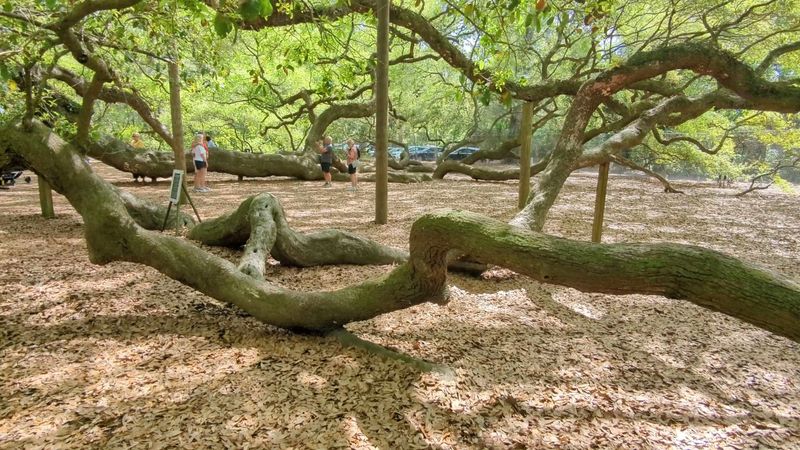 A Photographer's Quiet Paradise