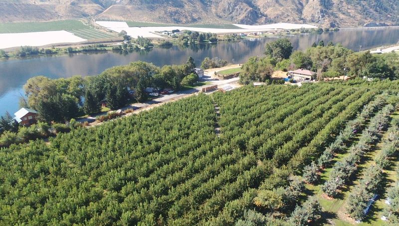 The Roots That Predate The Tourism Boom