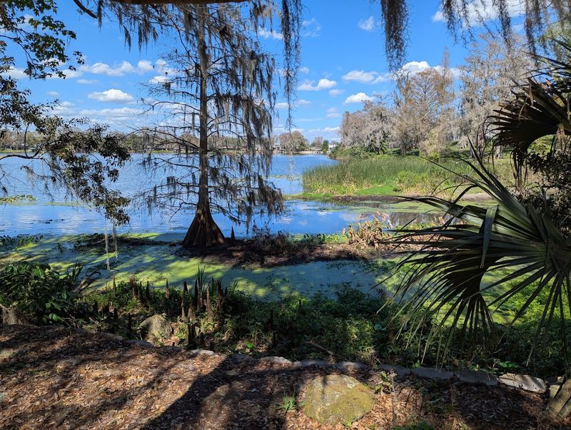 Peaceful Lake Rowena Views
