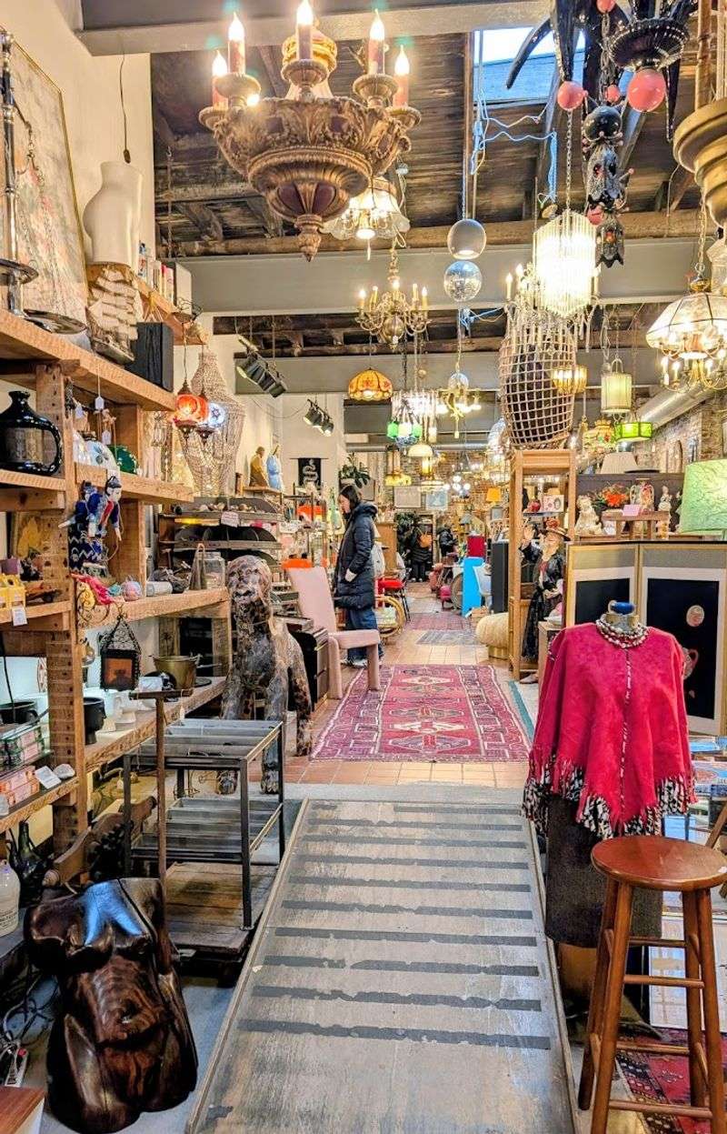 The Rotating Inventory Keeps Every Visit Fresh