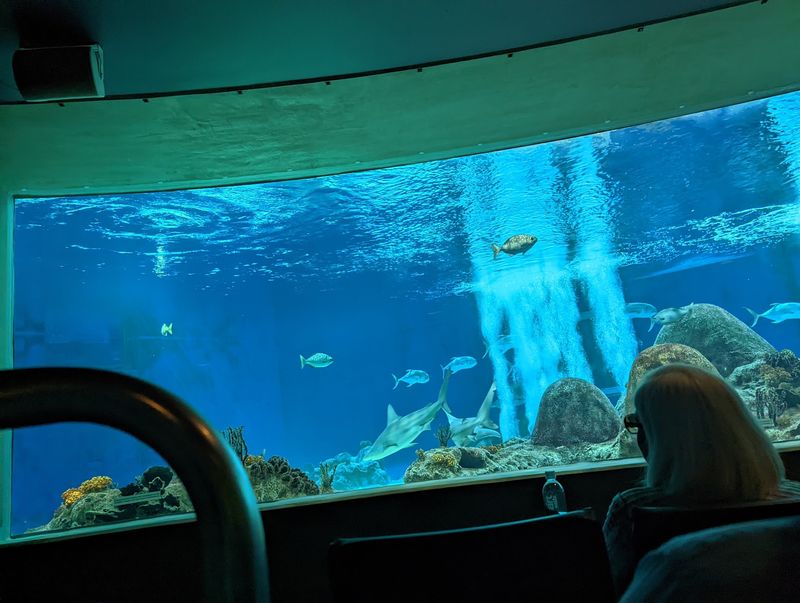 The Rotating Theater That Spins You Through the Sea