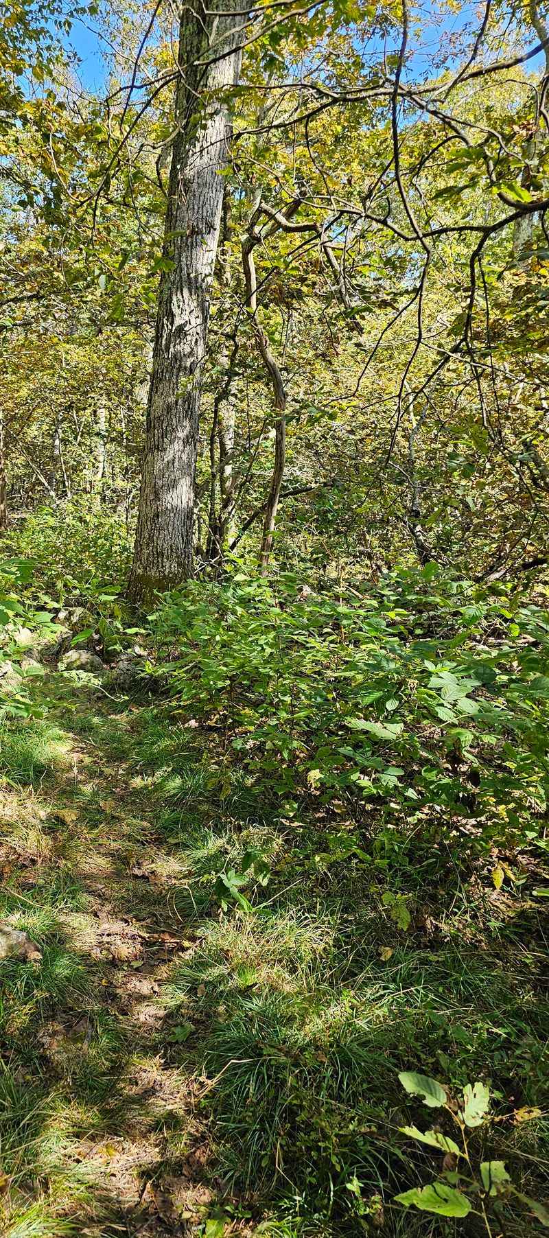 A Twenty-Minute Hike Through Wonderfully Wild Terrain