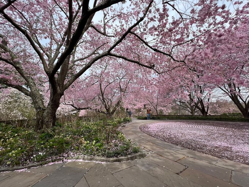 Paths That Actually Reward Slow Walking