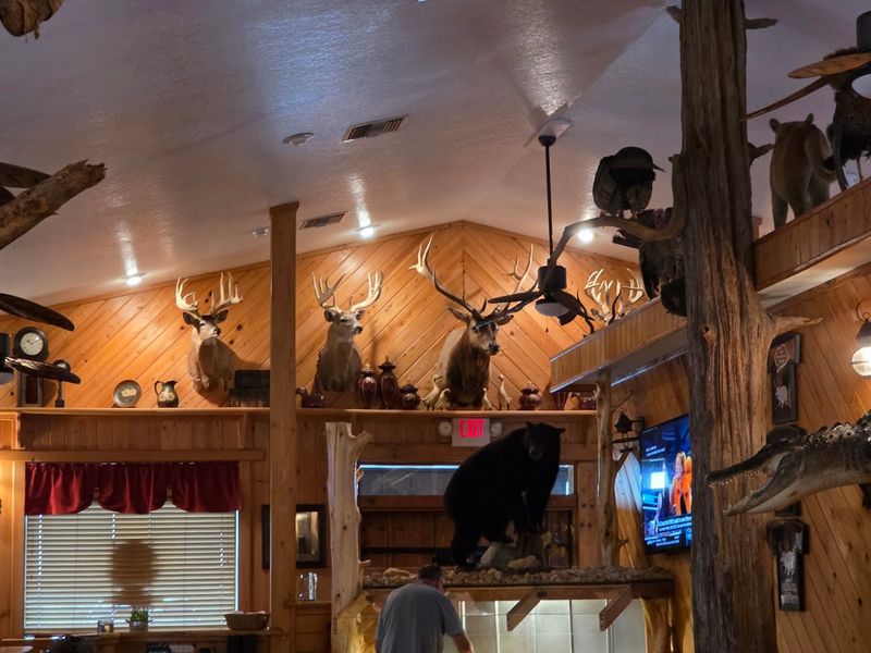The Rustic Cabin Atmosphere Inside The Rustic Cabin Atmosphere Inside