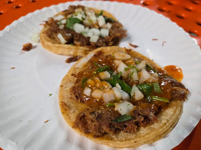 Fish Tacos With Real Wave Energy