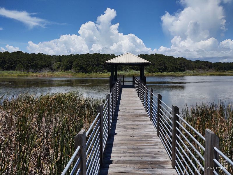 The Salt And Freshwater Mix Creates Unique Habitat