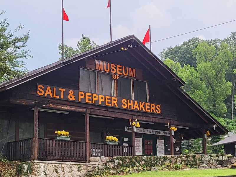 The Salt And Pepper Shaker Museum