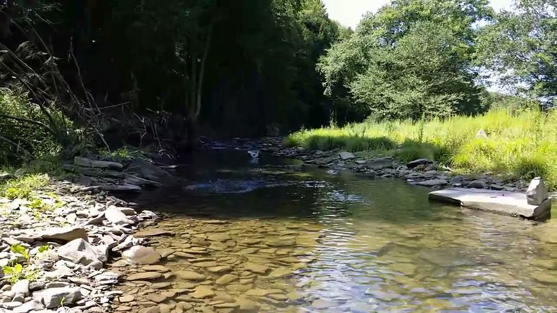 The Salty Spring That Named The Whole Place The Salty Spring That Named The Whole Place