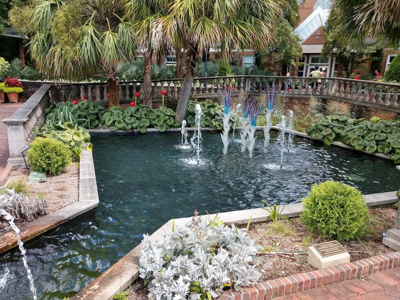 The Saluda Sky Ride That Changes Your Perspective