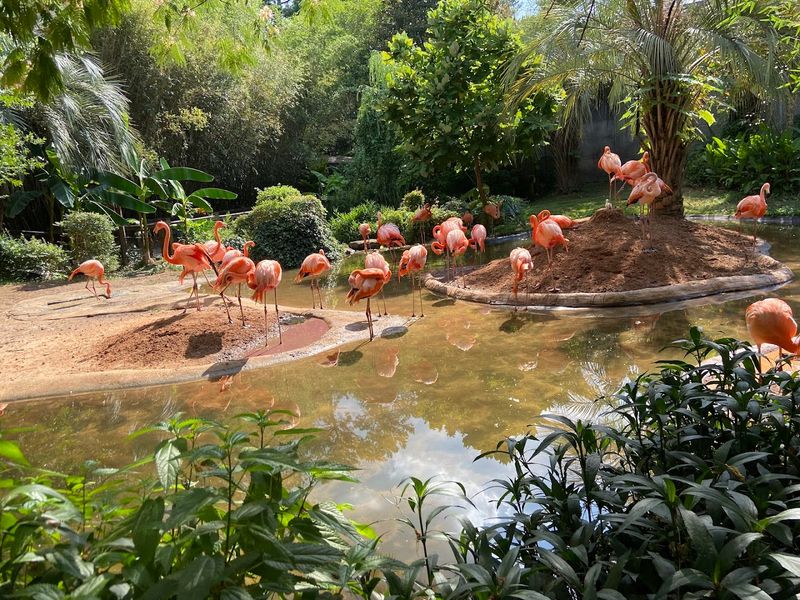 The Kids Splash Zone That Keeps Everyone Cool