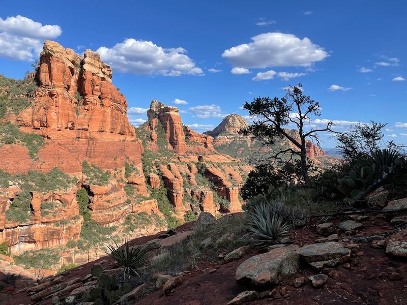 You Are Surrounded By Forest