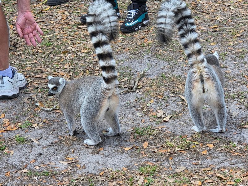 The Private Tour Option Is A Game Changer For Small Groups