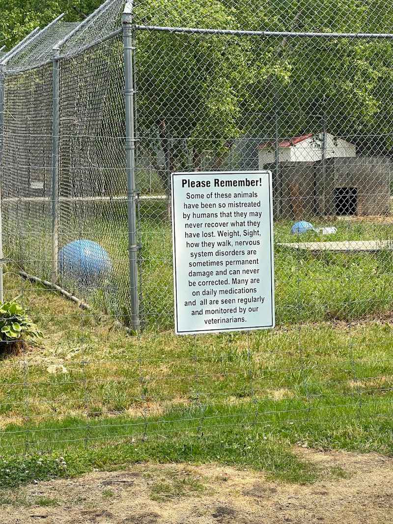The Sanctuary Rules And Why They Matter