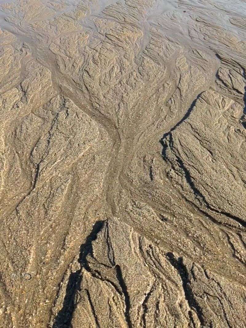 The Sand Here Is Not Actually Regular Sand The Sand Here Is Not Actually Regular Sand