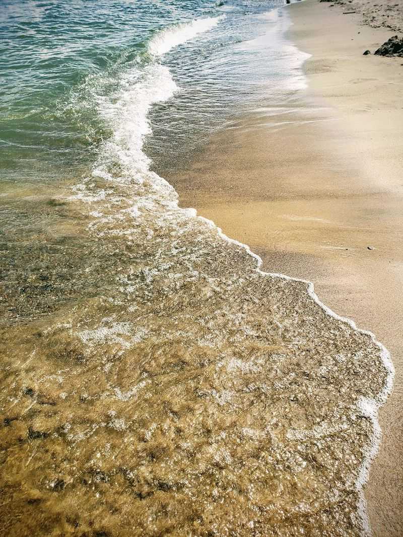 The Sand and Shoreline Up Close