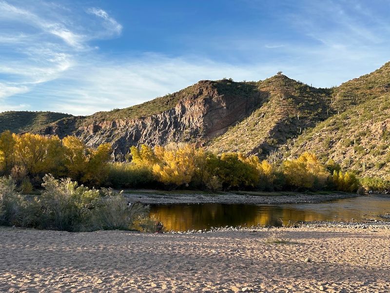 The Sandy Beach That Surprises Everyone The Sandy Beach That Surprises Everyone