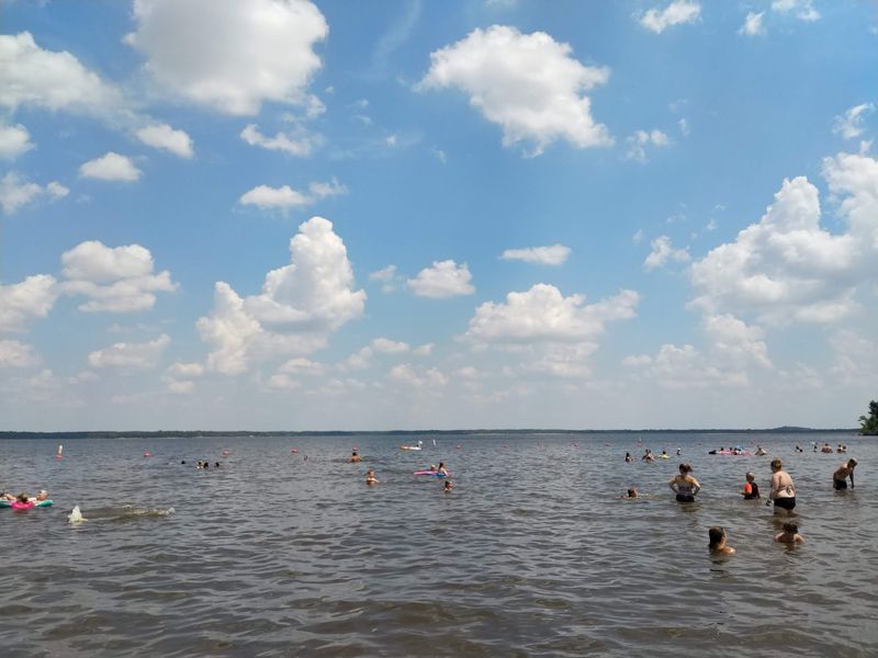 The Sandy Beach That Wins Over Kids And Dogs Alike