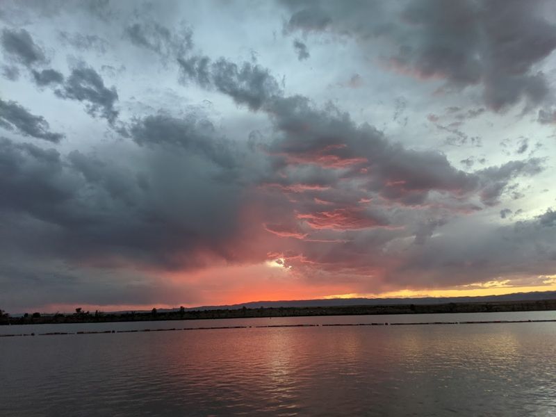 Mountain Bike Trails That Reward the Effort