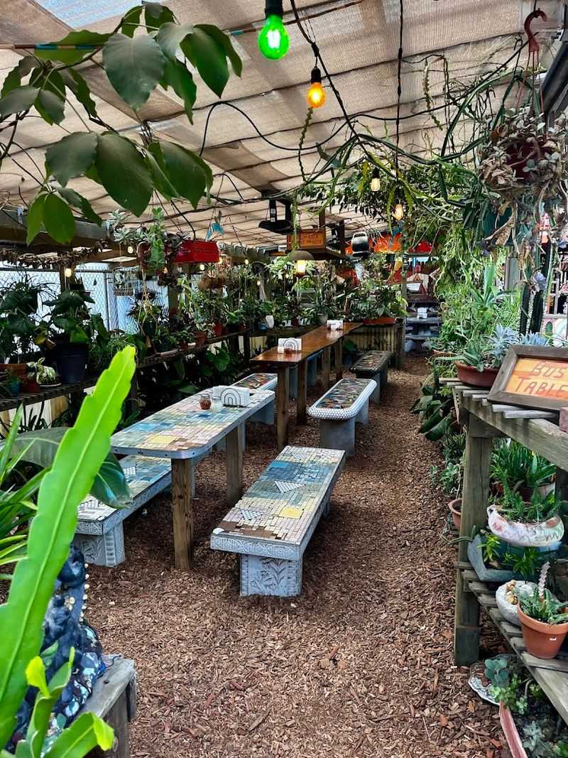 The Hours And Vibe Make Every Visit Feel Like A Special Trip