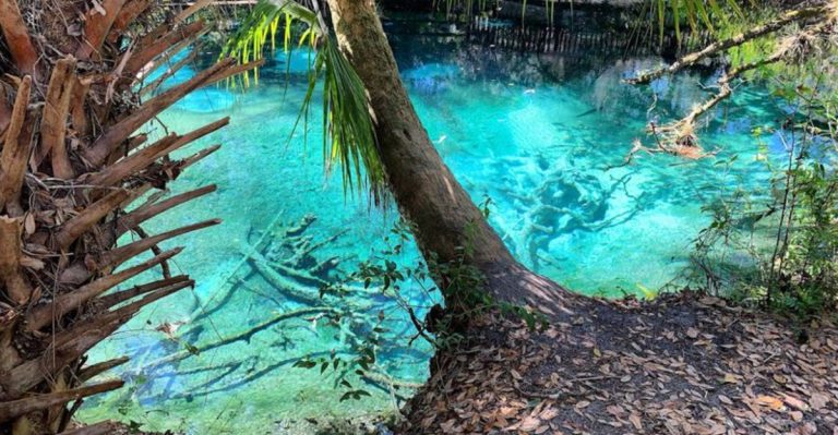 The Scenic 1.2-Mile Trail In Florida That Leads To This Gorgeous Hidden Swimming Hole
