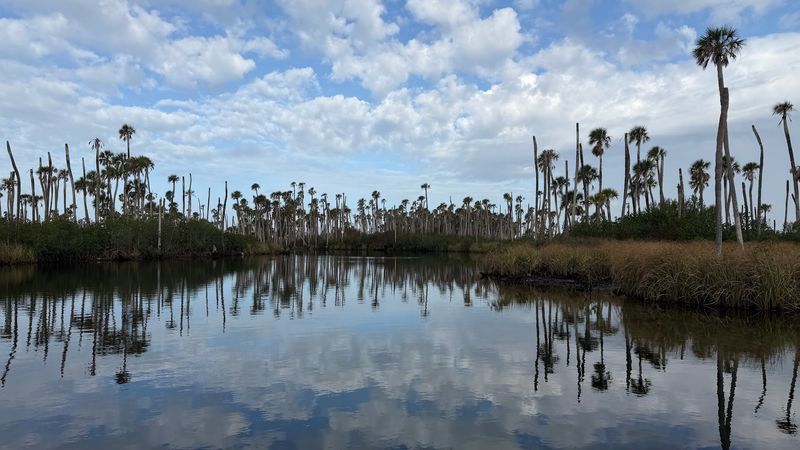 The Scenic Boat Ride That Brings The River To Life