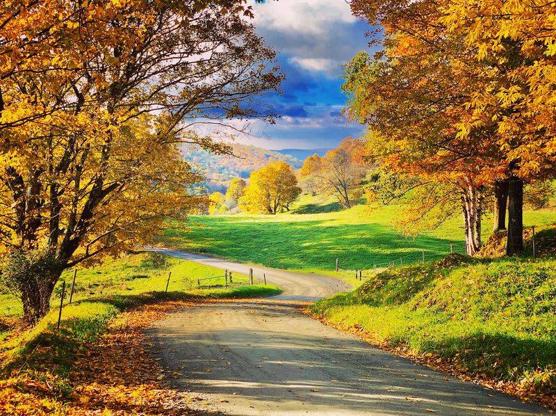 The Scenic Drive That Doubles As An Appetizer