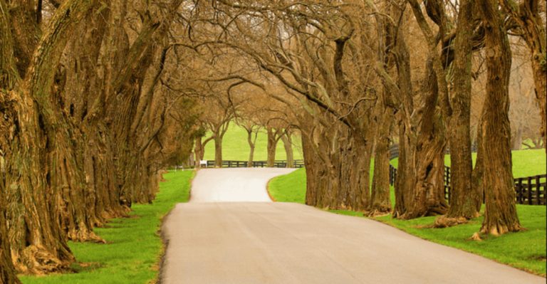 The Scenic Drive Through Kentucky Horse Country That Few Tourists Ever Find