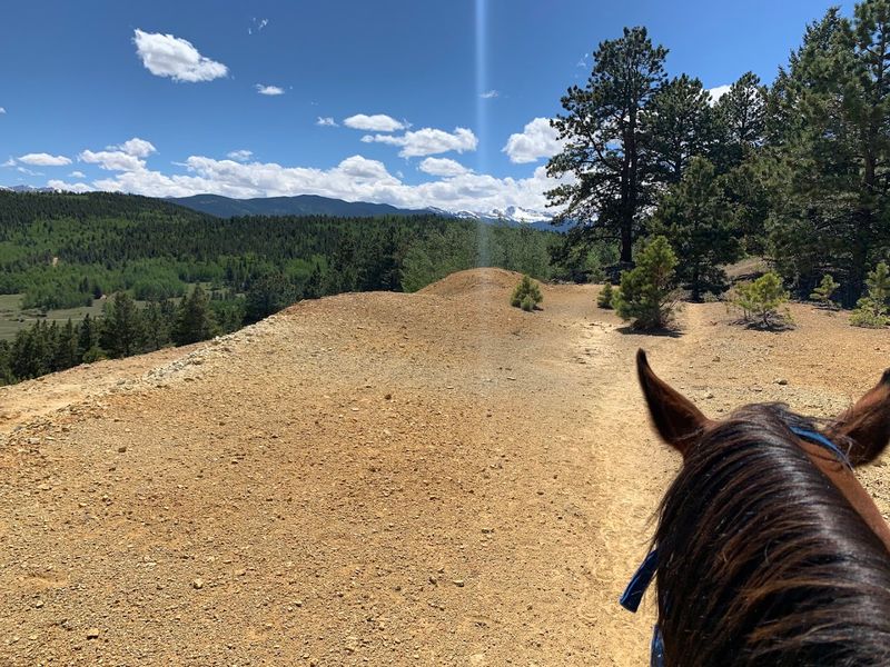 Why Families Keep Putting This Ride on the Return List