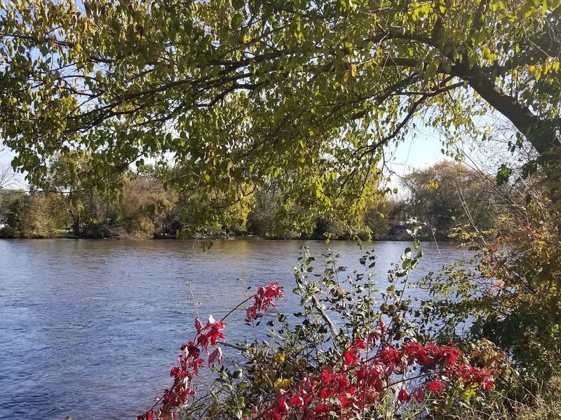 The Scenic Fox River Setting 