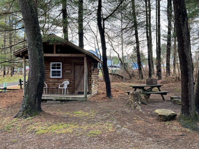 Cabins, Amenities, and Staying Nearby