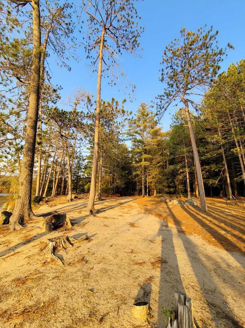 The Scenic Three-Mile Lake Loop Walk