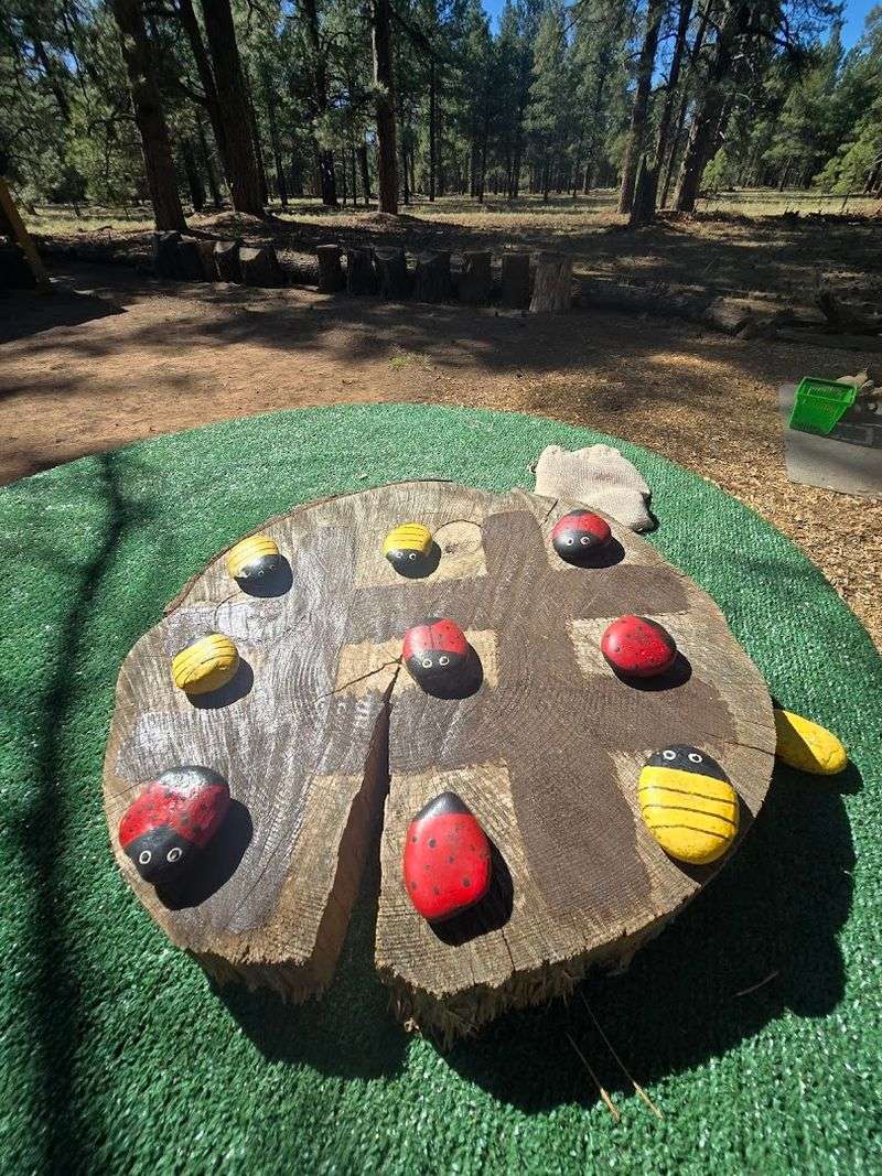 The Science Of Earthing And Grounding