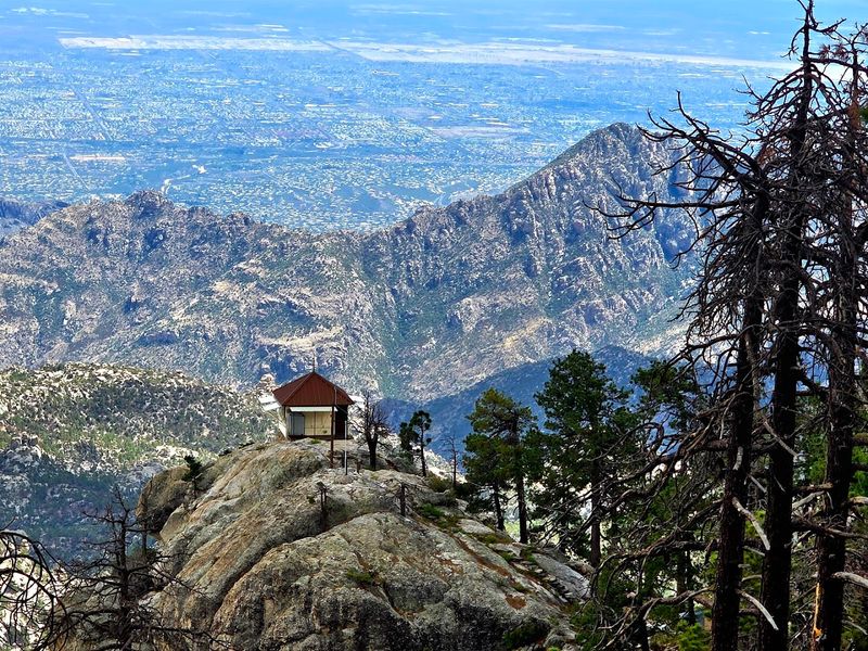 Mount Lemmon Summit: Where Tucson's Summer Heat Cannot Follow