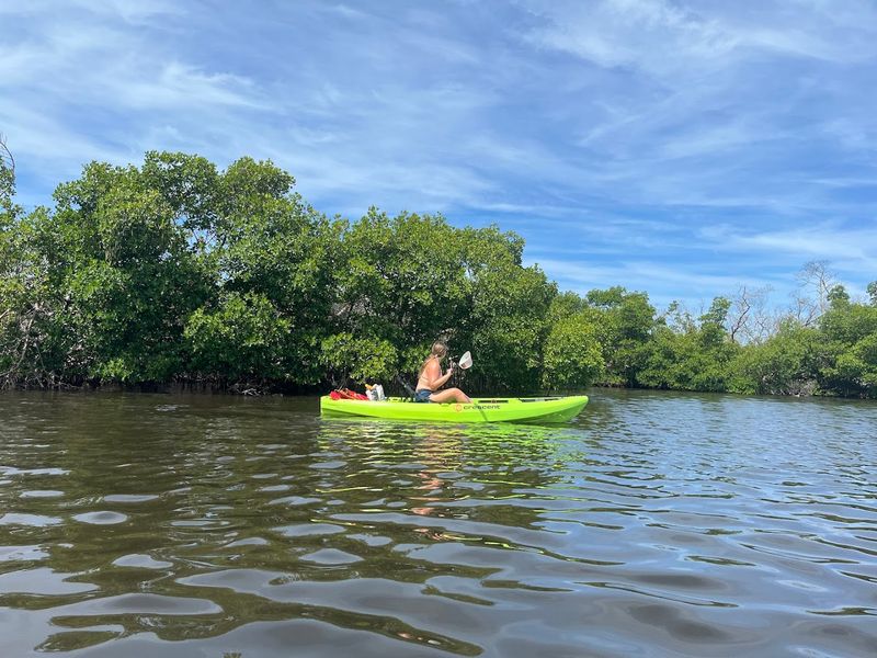 Kayaking Through Mangrove Tunnels