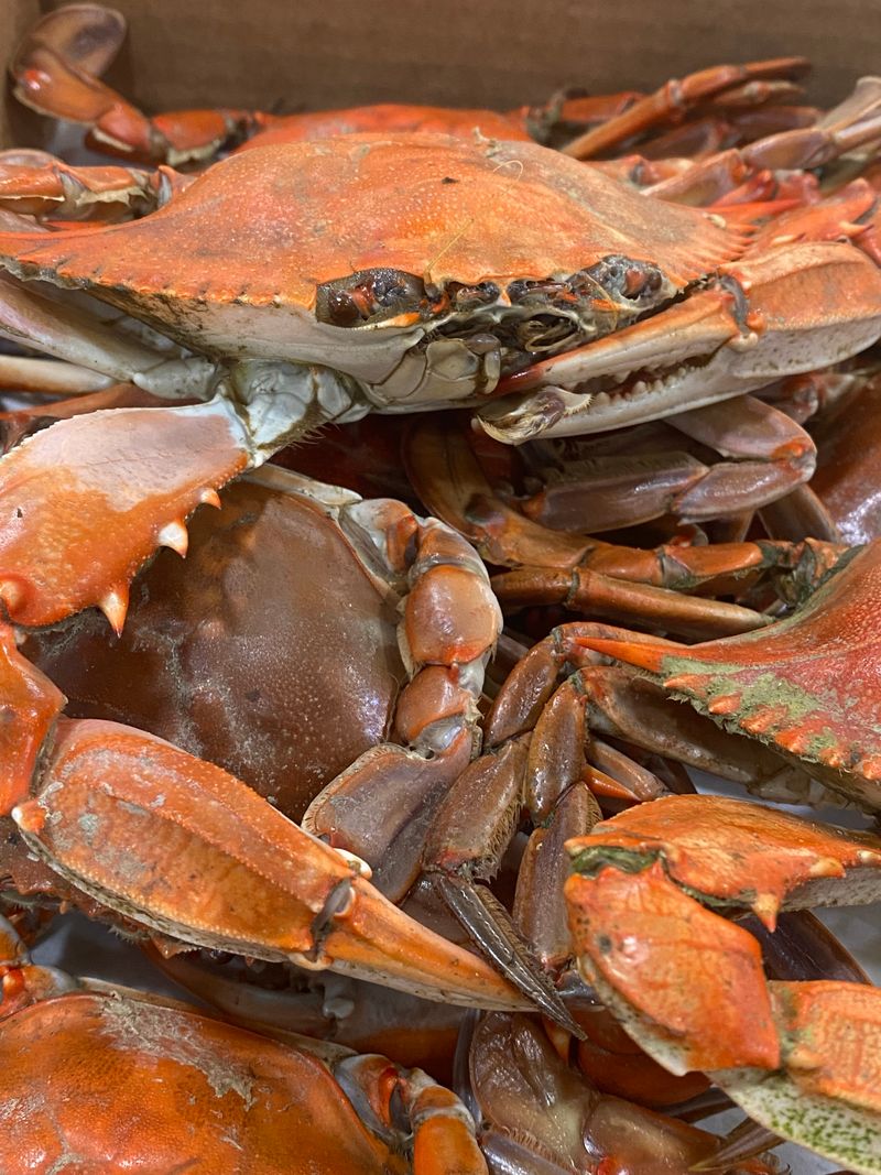 N N Crab Shack – Heathsville