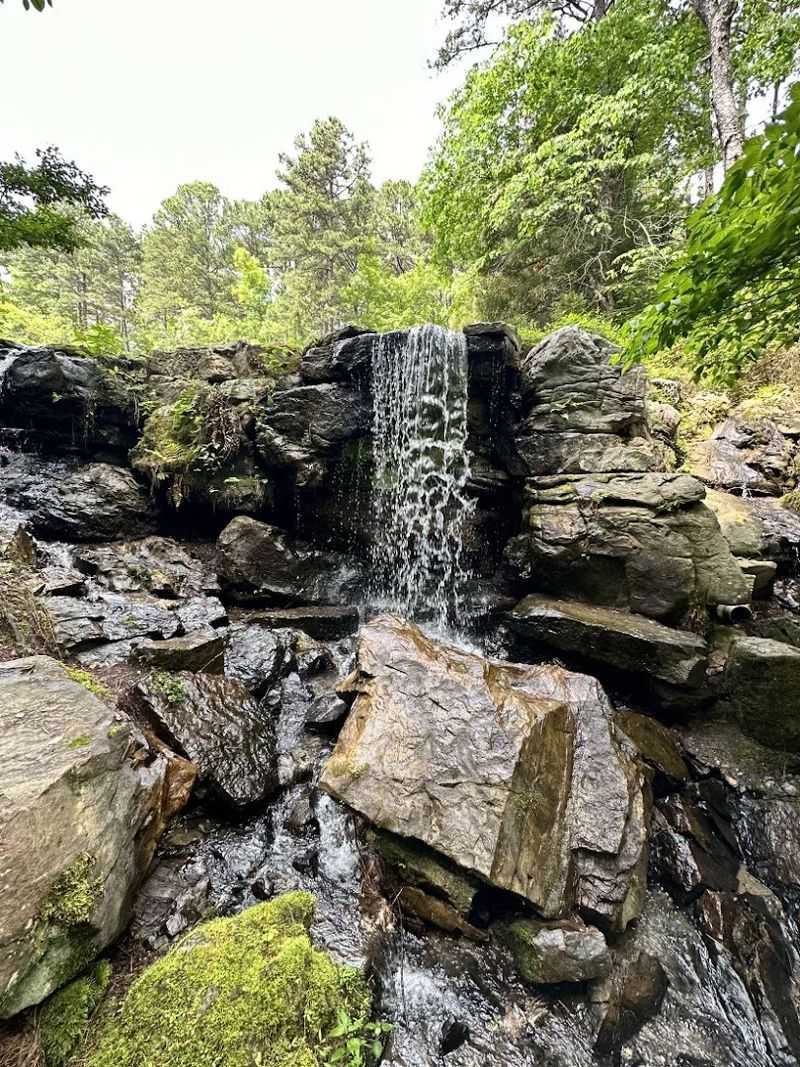 Walkways Lined With Blooms In Every Direction