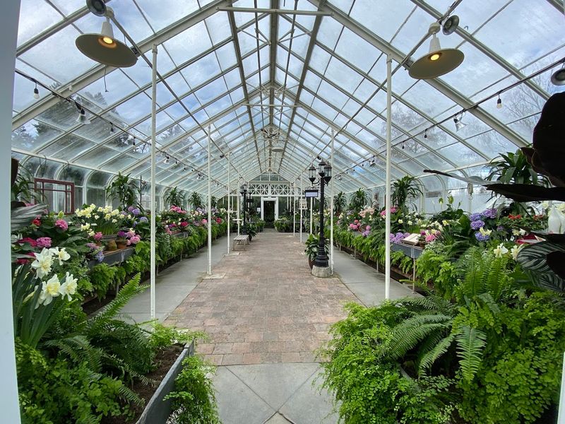 The Seasonal House And Its Rotating Displays