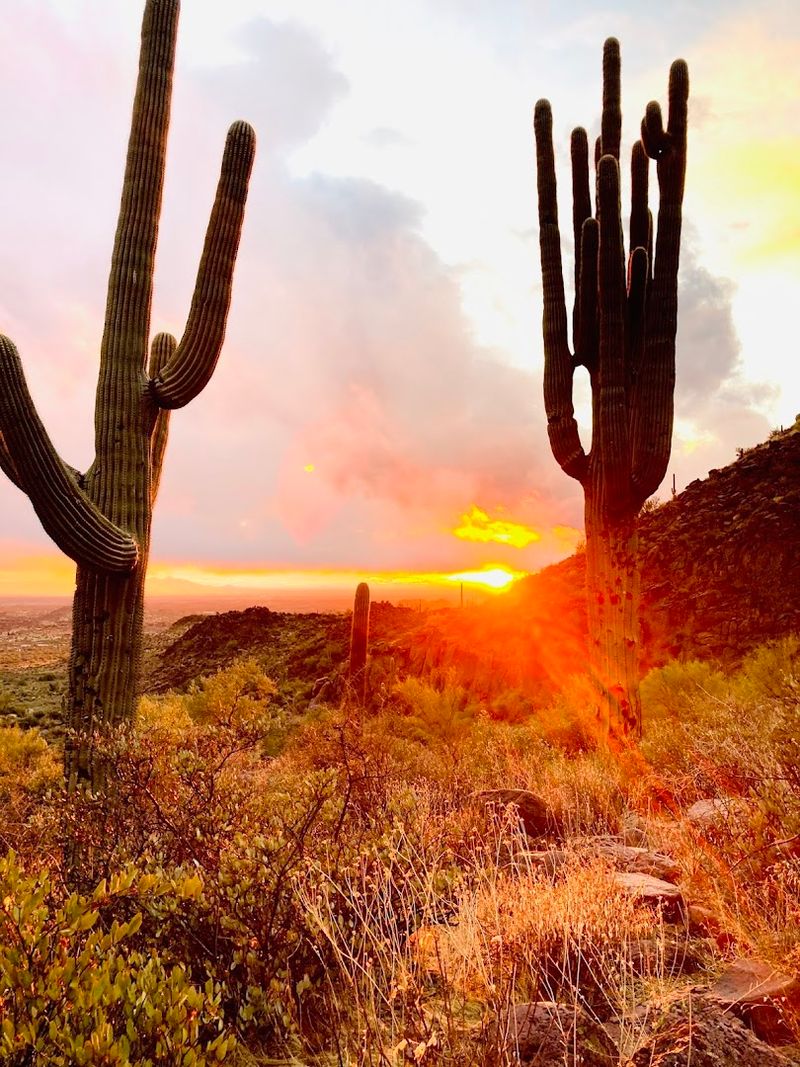 Best Time To Visit And Weather Tips