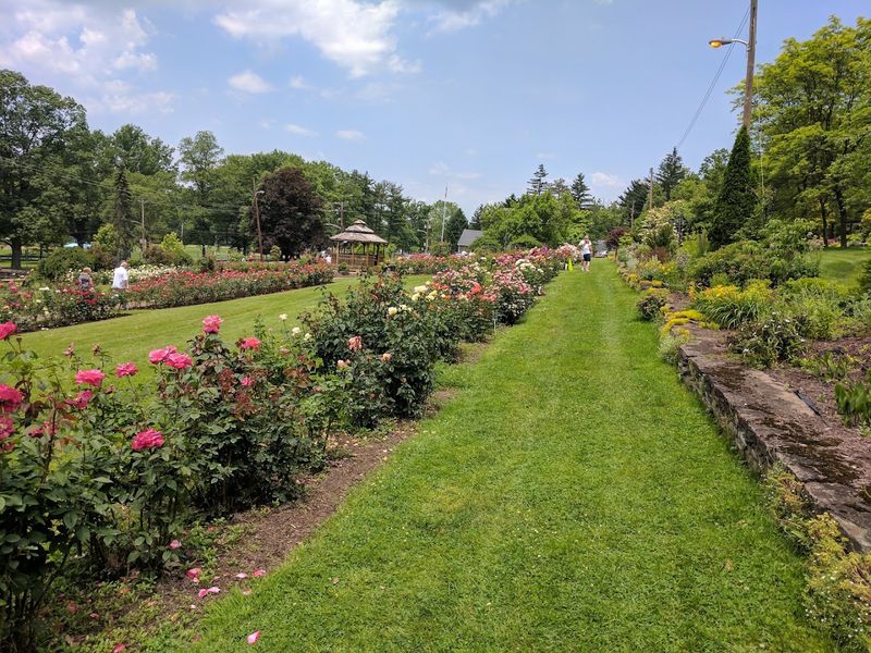 The Second Largest Rose Garden In Pennsylvania