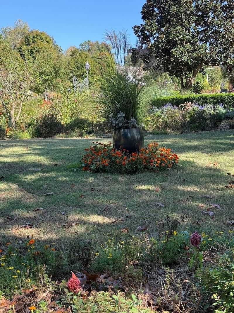 When The Air Fills With Orange Wings