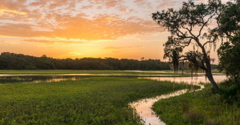 The Secret Florida State Park Everyone’s Been Missing