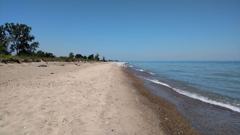The Six Miles Of Sandy Shoreline Will Make You Forget You're In Illinois